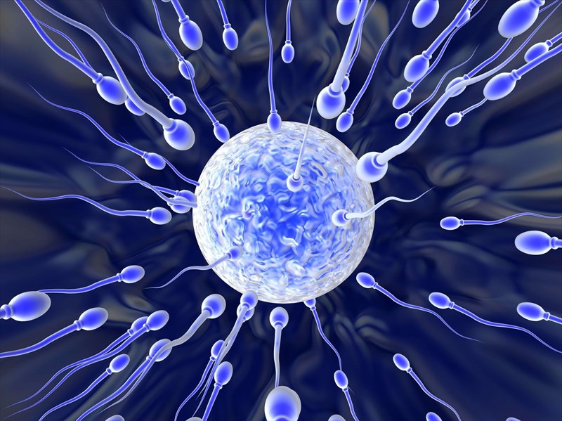 Can Boric Acid Kill Sperm?