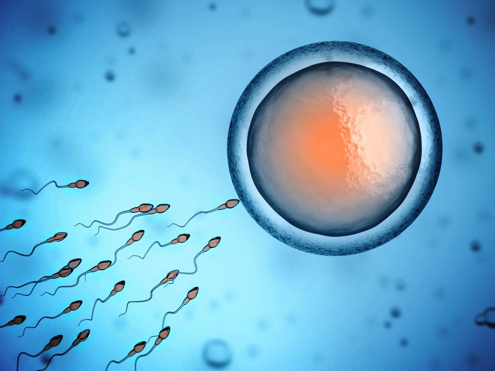 Understanding Sperm Viability