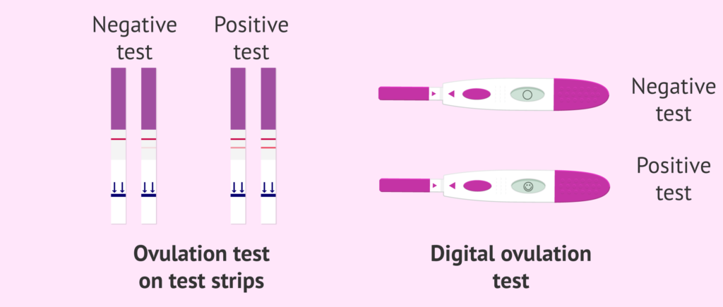 Best Practices for Reading Ovulation Tests