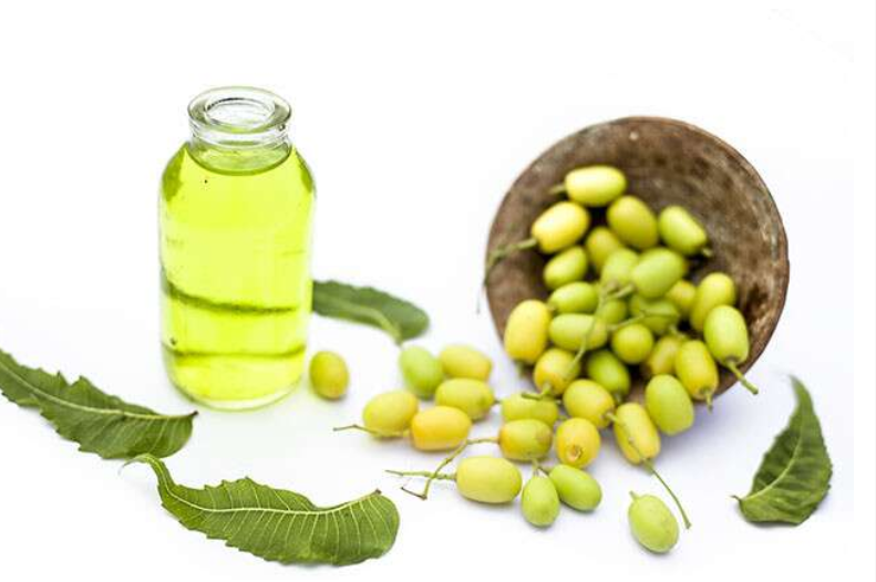 How To Use Neem Oil As a Contraceptive