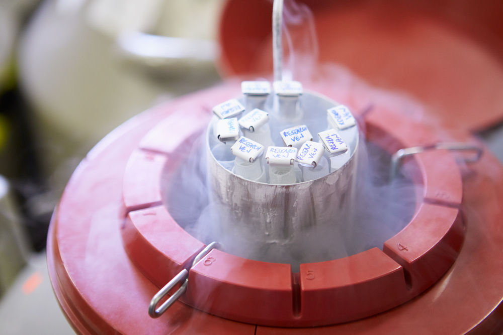 Embryo freezing