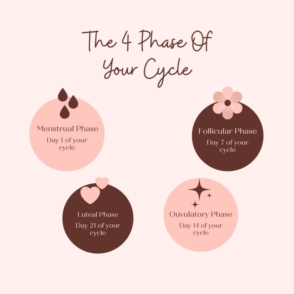 Four Stages of the Menstrual Cycle